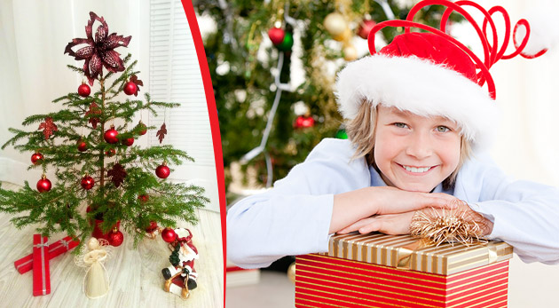 Živý vianočný stromček s ozdobami - rýchlorastúci smrek čierny len za 8,90€