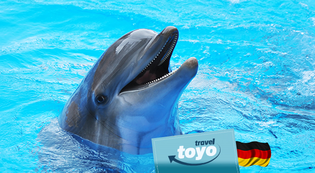 Zájazd pre 1 osobu do delfinária, Zoo a na delfíniu show (bez vstupného) v Norimbergu (Nemecko) len za 49€ vrátane zákonného poistenia a služieb sprievodcu