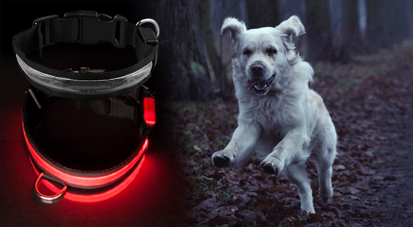 Obojok pre psíka osadený svetelnými LED diódami, rozmery 26 - 35 cm