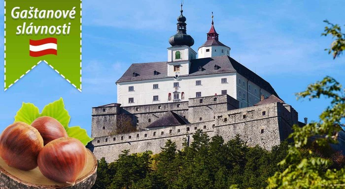 Vegan Zoznamovacie služby