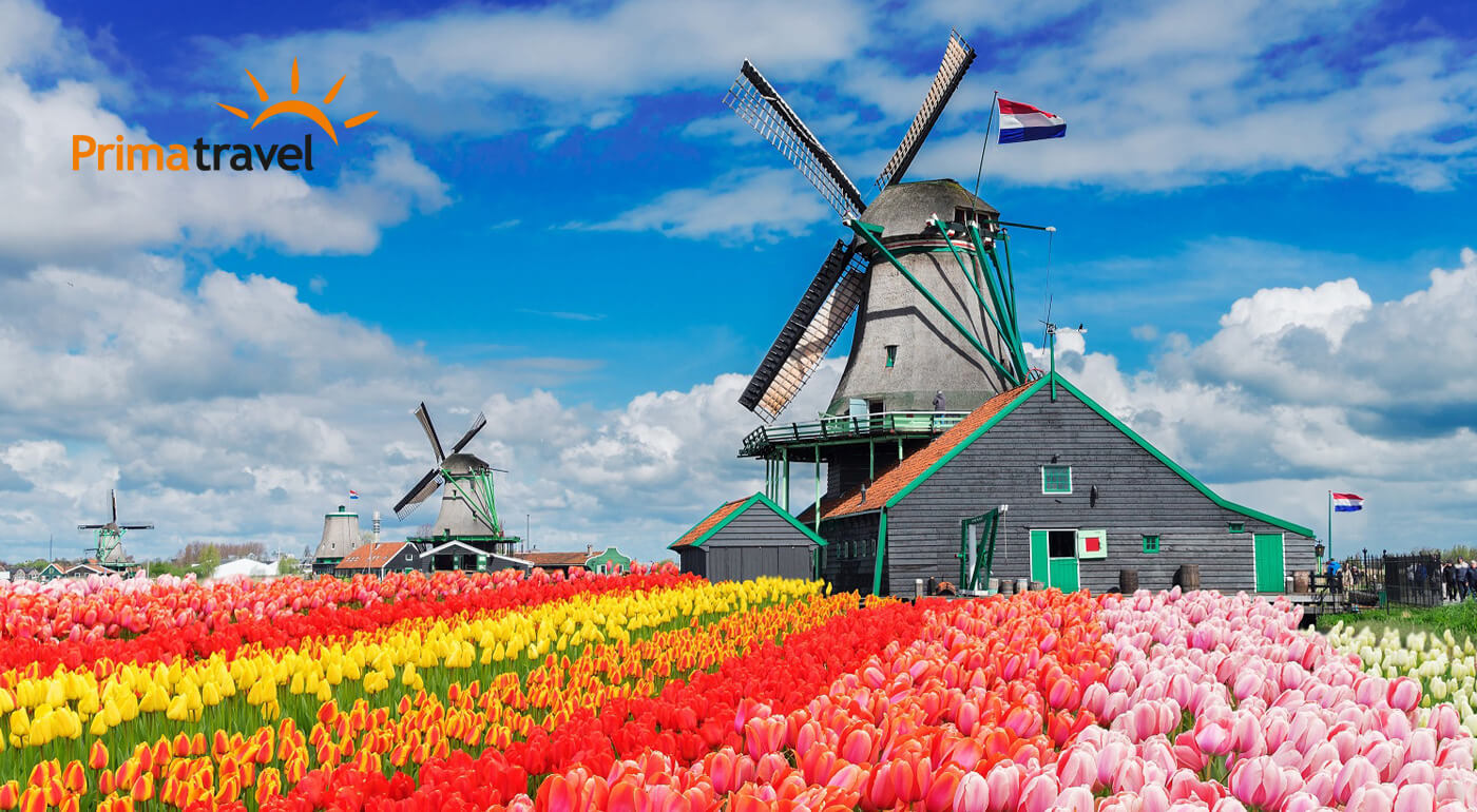 4-dňový zájazd do Holandska s výstavou kvetov Keukenhof