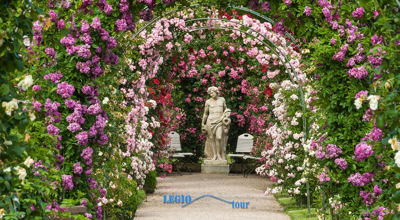 Jednodňový zájazd pre 1 osobu: Viedenský les - park kláštora Heiligenkreuz a Dni ruží v rakúskom Badene