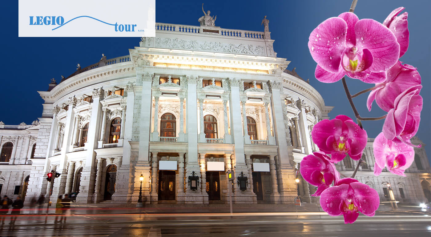 Viedeň: Zájazd na výstavu orchideí a tillandsií, ktorý vám do života vnesie kus exotiky