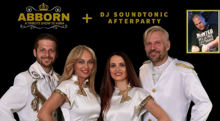Vstupenka na Abborn live show - ABBA tribute