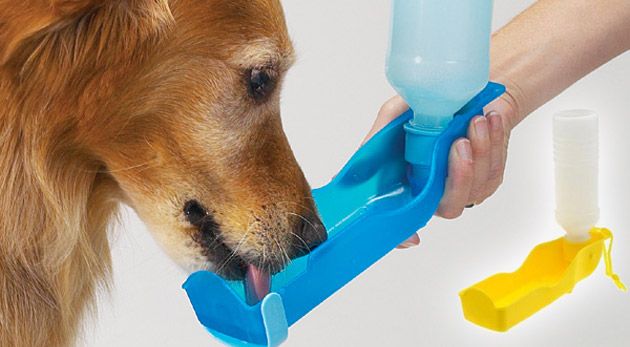 Cestovná fľaša pre psov v rôznych farebných prevedeniach vhodná pre každú spoločnú cestu. 