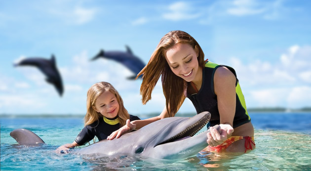 Zájazd pre 1 osobu do delfinária, Zoo a delfíniu show (bez vstupného) v Norimbergu (Nemecko) len za 49€ vrátane zákonného poistenia a služieb sprievodcu