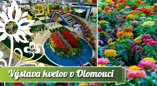 Jednodňový zájazd na výstavu kvetov a záhradníctva Flora Olomouc