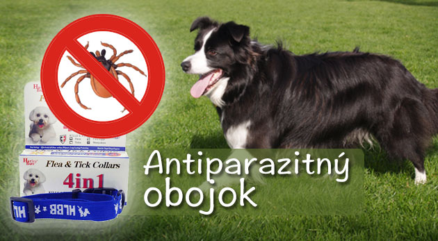 Antiparazitný modrý obojok pre psa - veľký, šírka: 2cm, dĺžka: 31-47cm len za 6,60€.