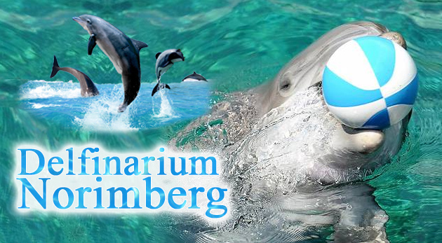 Delfinárium, úžasná show s delfínmi a návšteva zoo v Norimbergu. Nezabudnuteľný zájazd pre celú rodinu.