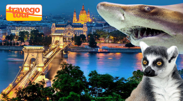 Tropicarium a ZOO v Budapešti - dychvyrážajúci výlet za poznaním tropického sveta