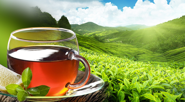 Ručne zbieraný zelený čaj 200 g za 2,39€