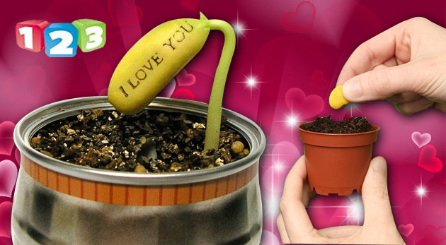Kúzelná fazuľka v drevenom kvetináči s nápisom "I love you"