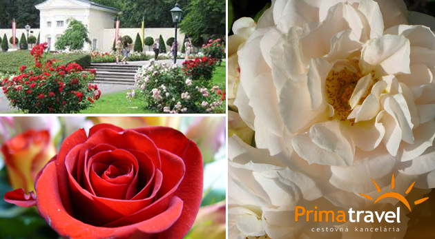 Navštívte záhadou opradený zámok v Mayerlingu i domov až 600 druhov ruží v Baden bei Wien