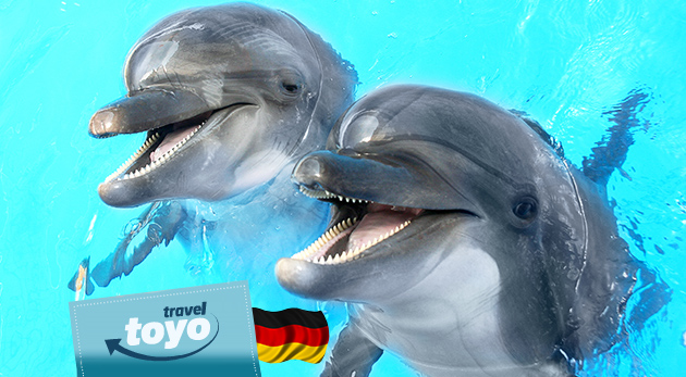 Delfinárium, úžasná show s delfínmi a návšteva ZOO v Norimbergu pre celú rodinu
