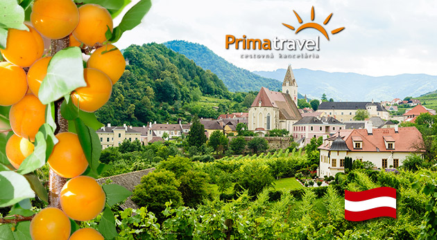 Jedinečné marhuľové slávnosti a nádherné údolie Wachau - jednodňový zájazd s CK Prima Travel