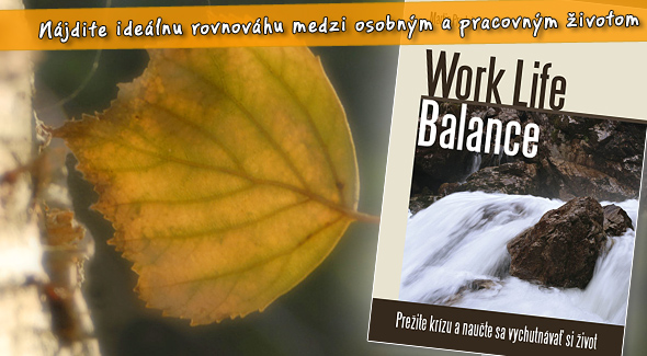 Kniha  Work Life Balance - Prežite krízu a naučte sa vychutnávať si život.