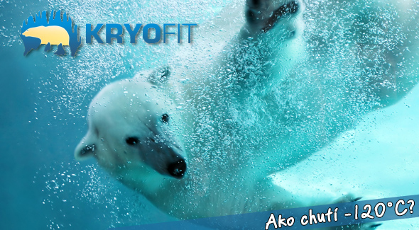 Tréning na party s ľadovými medveďmi - Kryokomora za cenu, aká na Slovensku ešte nebola - jednorázový vstup len 4,99 € a pre deti zadarmo!