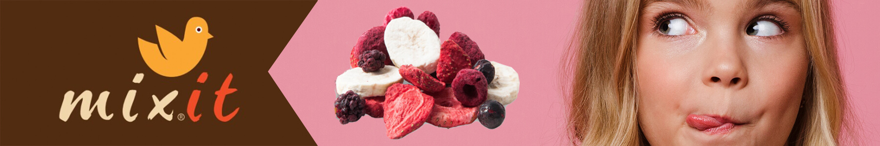 Mrazom sušené ovocie MIXIT alebo ako doplniť energiu zdravo